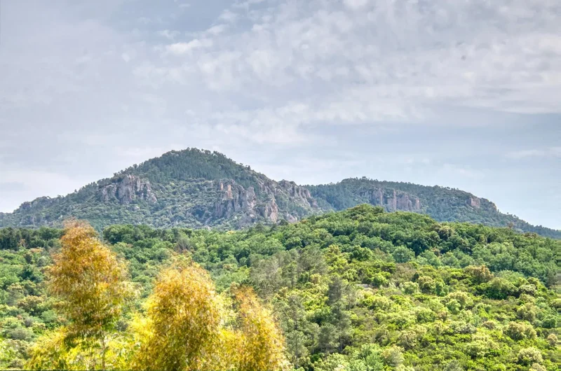 Fréjus, Provence-Alpes-Côte d'Azur, France. - Photo 30