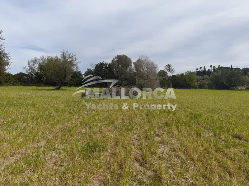 Diseminado Disseminat 5, 497, 07400 Alcúdia, Illes Balears, Spain, Alcudia, Balearic Islands, Spain. - Photo 3