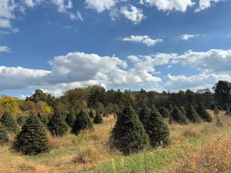 4700 Stanley Road, Columbiaville, MI, 48421, USA, Columbiaville, Michigan, United States. - Photo 35