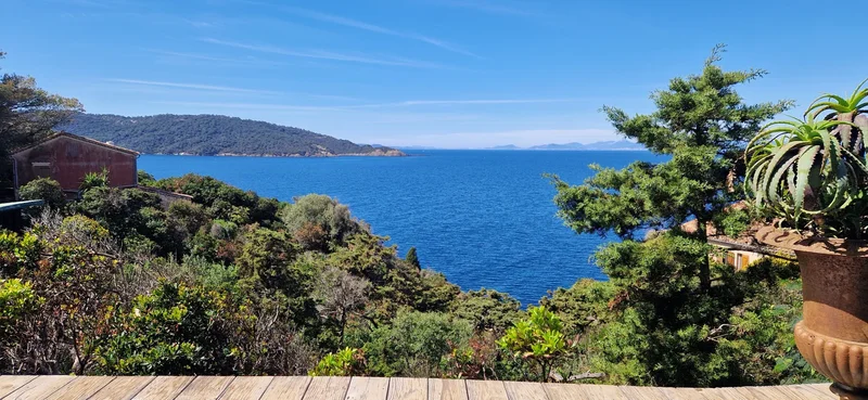 Hyères, Provence-Alpes-Côte d'Azur, France. - Photo 43