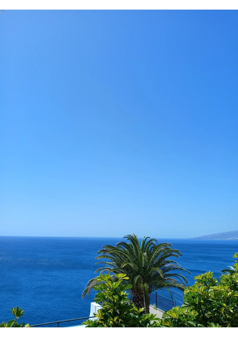C. Mayantigo, 38111, Santa Cruz de Tenerife, Spain, Suroeste, Santa Cruz De Tenerife, Spain. - Photo 13