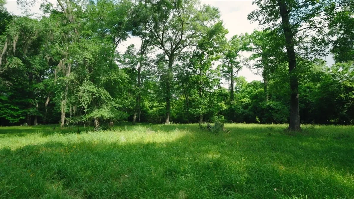 0 East River Road, Other, GA 31544, Jacksonville, Georgia, United States. - Photo 4