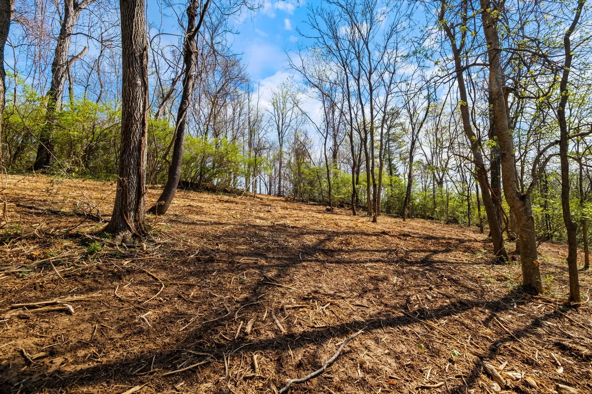 5001 Glengregor Road , Glenview, KY 40025, Glenview, Kentucky, United States. - Photo 11