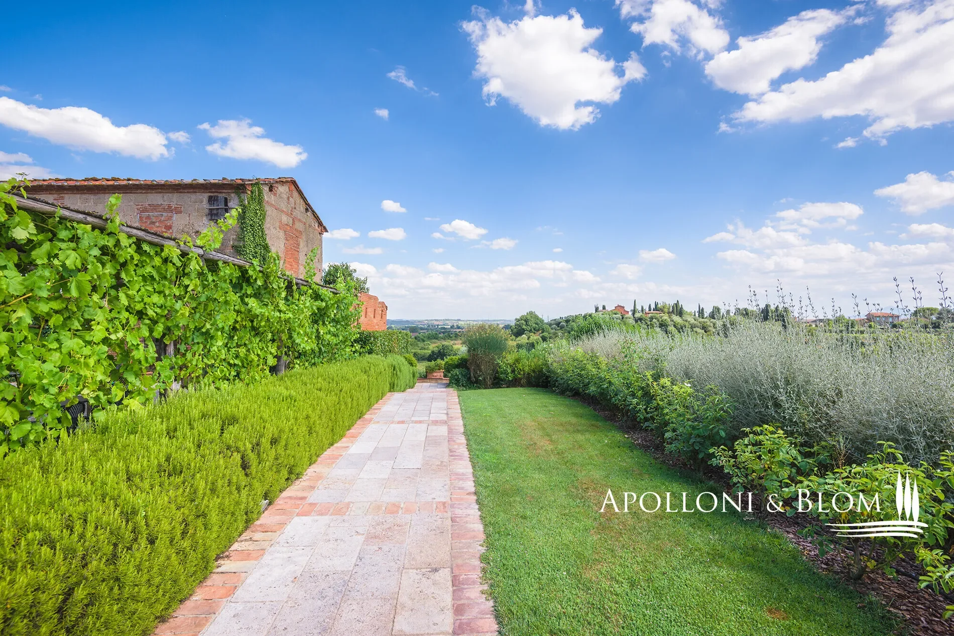 Sinalunga, Tuscany, Italy. - Photo 9