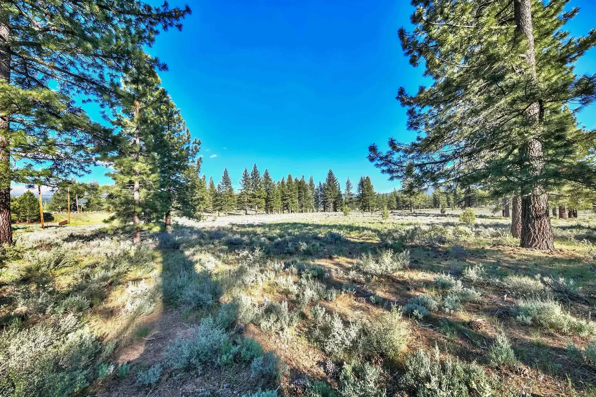 9701 Highway 267, Truckee, California, United States. - Photo 7