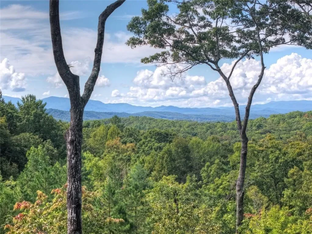67 Antler Way, Morganton, Georgia, United States. - Photo 32