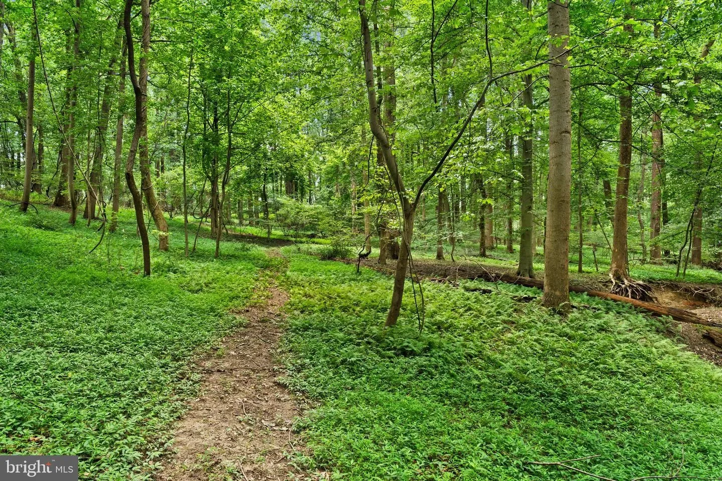 3320 Offutt Rd, RANDALLSTOWN, MD 21133, Randallstown, Maryland, United States. - Photo 4