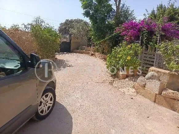 PORTOCRISTO, Manacor, BALEARES, Manacor, Manacor, Balearic Islands, Spain. - Photo 25