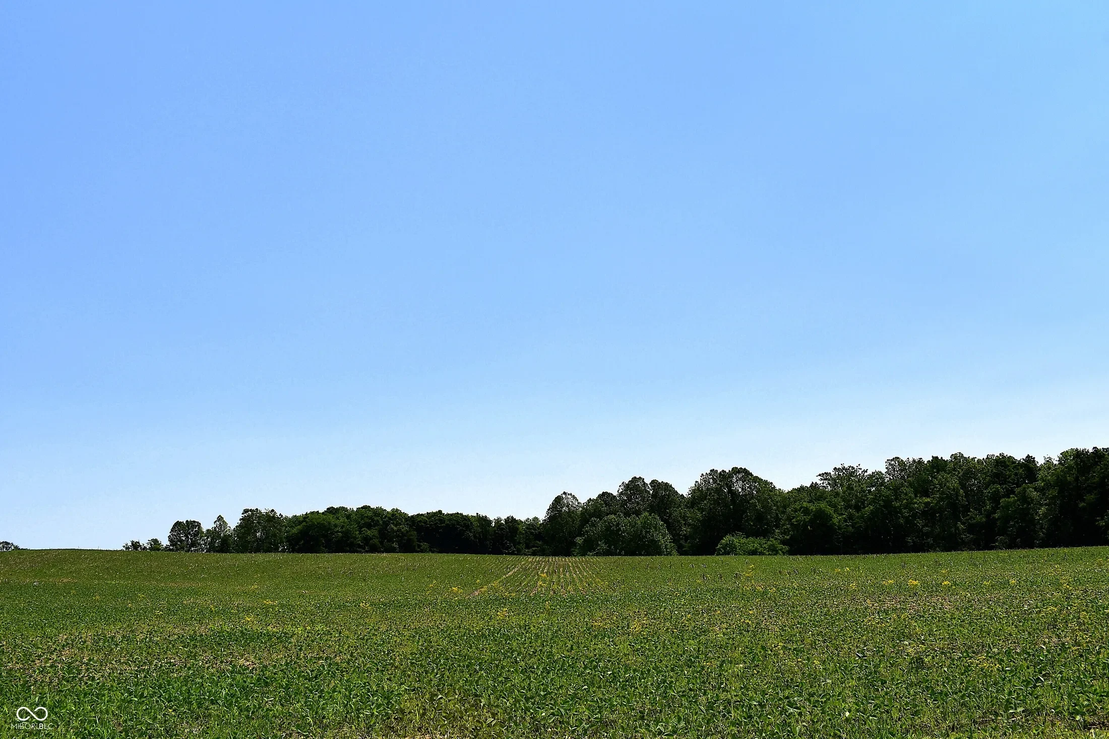 0 Watson Road E, Mooresville, IN 46158, Mooresville, Indiana, United States. - Photo 9