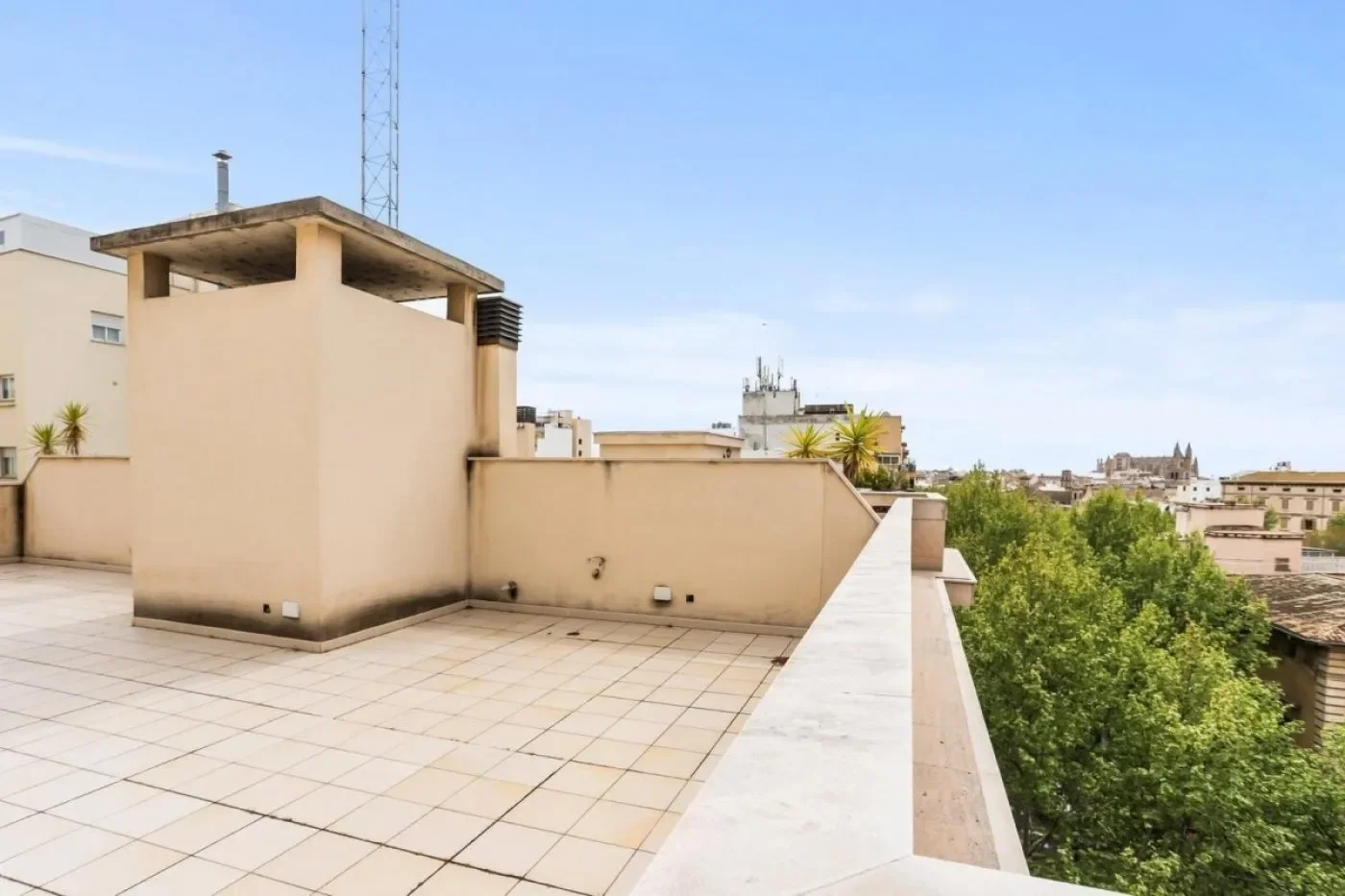 Centro, Palma de Mallorca, BALEARES, Palma, Balearic Islands, Spain. - Photo 4