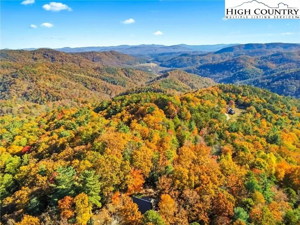 675 Cabin Ridge Road, Ferguson, NC 28624, Ferguson, North Carolina, United States. - Photo 3