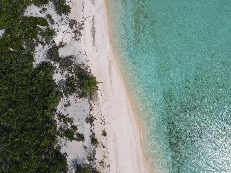 16 ACRE BEACHFRONT PARCEL, McKann's Settlement, Long Island, The Bahamas. - Photo 9