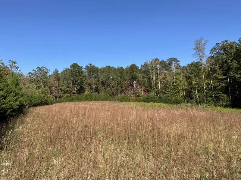 147 Helton Lane, Mill Spring, NC 28756, Mill Spring, North Carolina, United States. - Photo 10