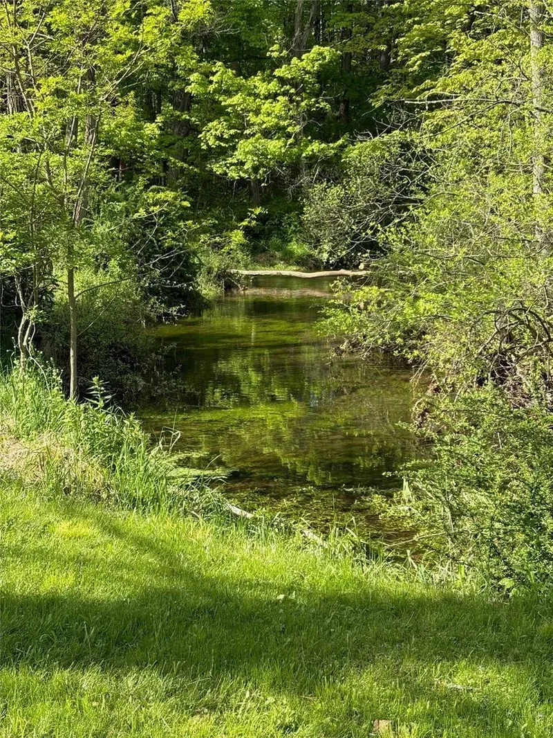 196 Tinker Street, Woodstock, New York, United States. - Photo 25