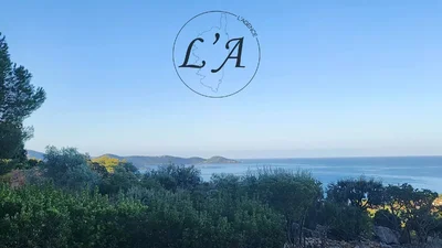 Thumbnail 25