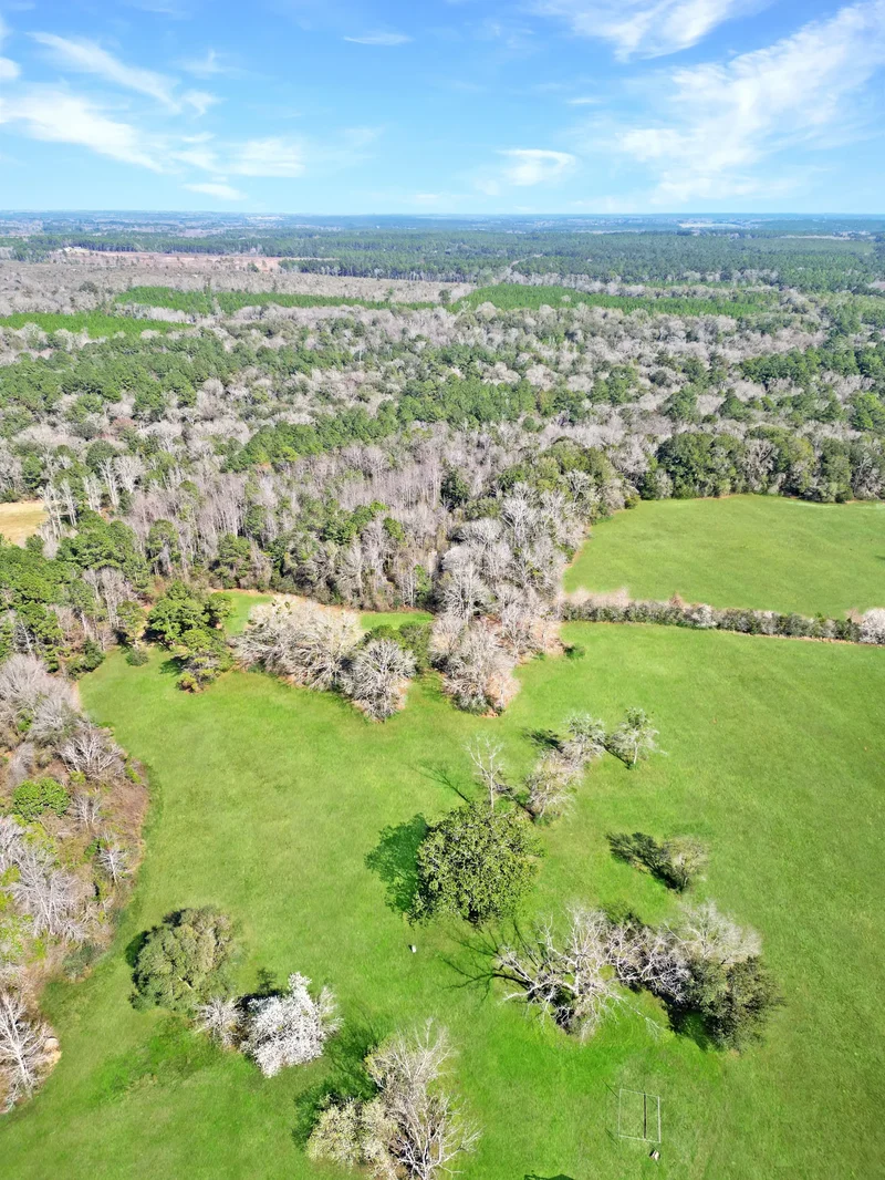4343 East Plympton Road , Laurel Hill, FL 32567, Laurel Hill, Florida, United States. - Photo 27