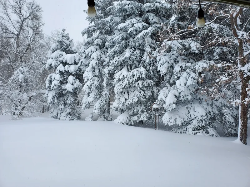 2627 E Willamette Lane , Greenwood Village, CO 80121, Greenwood Village, Colorado, United States. - Photo 52