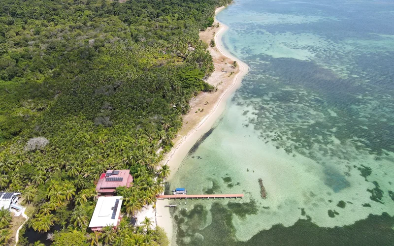 Isla Bastimentos, Bastimentos Island, Bocas del Toro Province, Panama, Bastimentos Island, Bocas del Toro Province, Panama. - Photo 22