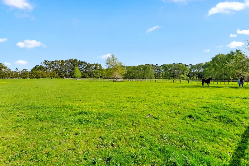 744 Waitakere Road, Kumeū 0891, New Zealand, Kumeu, Auckland, New Zealand. - Photo 13