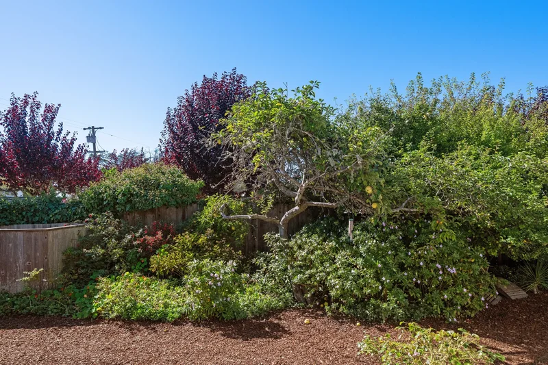 40-42 Arenal Avenue, Stinson Beach, CA 94970, Stinson Beach, California, United States. - Photo 69