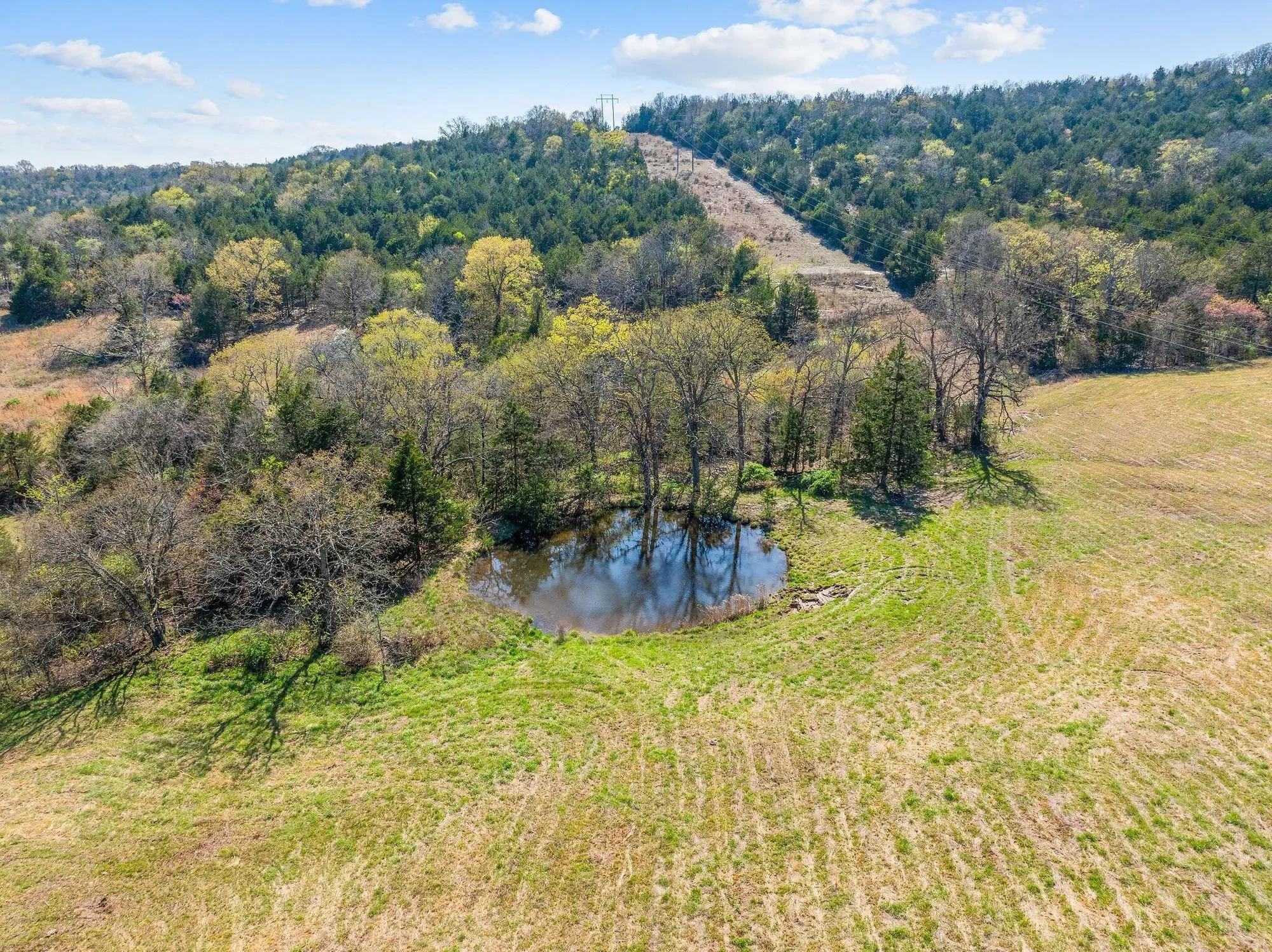 000 Tbd State Hwy J, Kirbyville, MO 65679, Kirbyville, Missouri, United States. - Photo 21