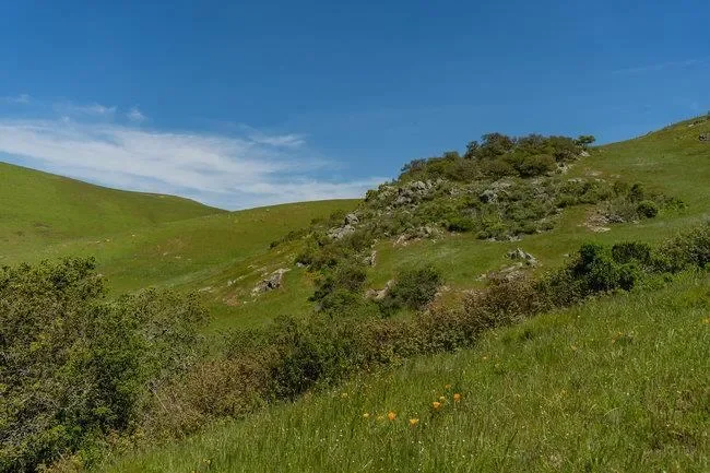 100 Old Stage Rd, San Juan Bautista, California, United States. - Photo 57