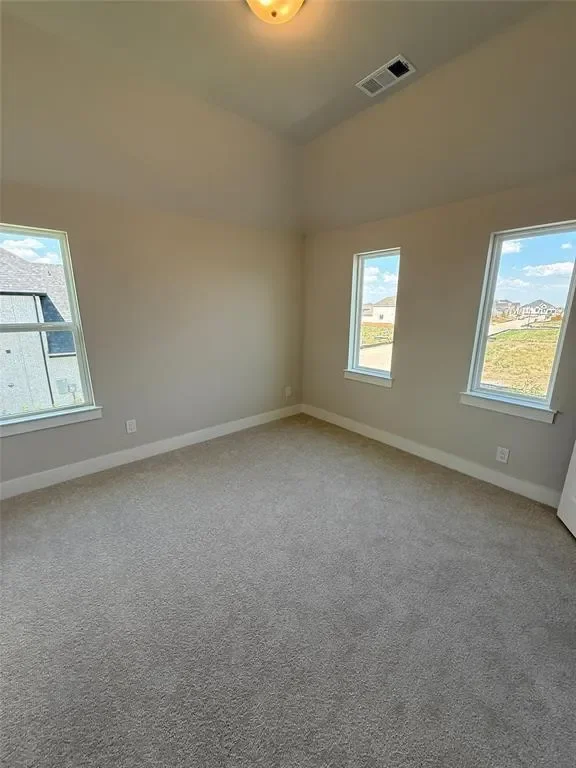 Gallery photo 12