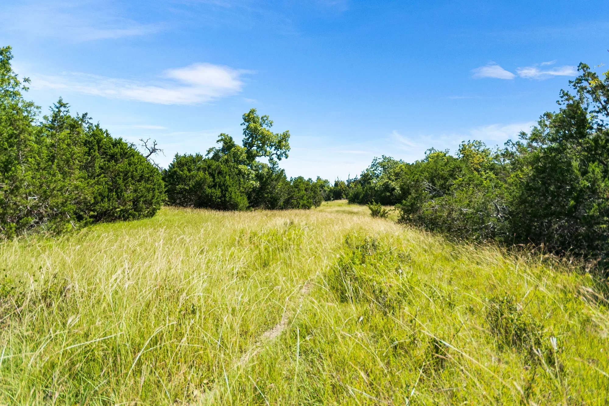 4369 Reeh-Weinheimer Road , Fredericksburg, TX 78624, Fredericksburg, Texas, United States. - Photo 15