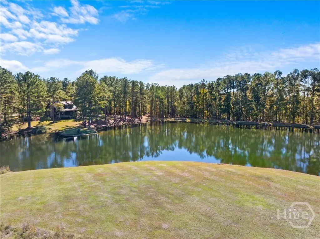 0 Honey Ridge Road, Millen, Georgia, United States. - Photo 43