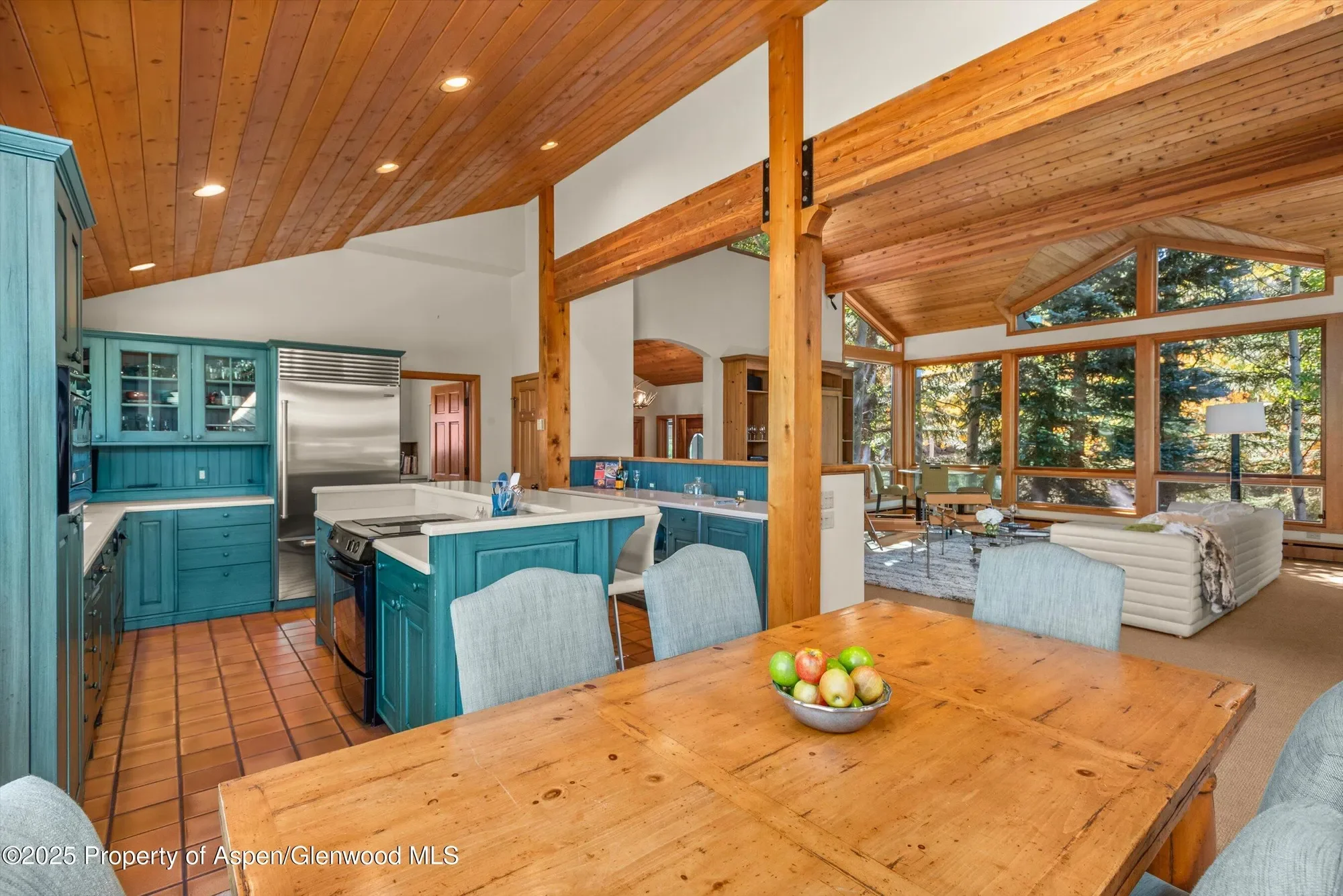 259 Deer Ridge Lane, Snowmass Village, CO, United States. - Photo 37