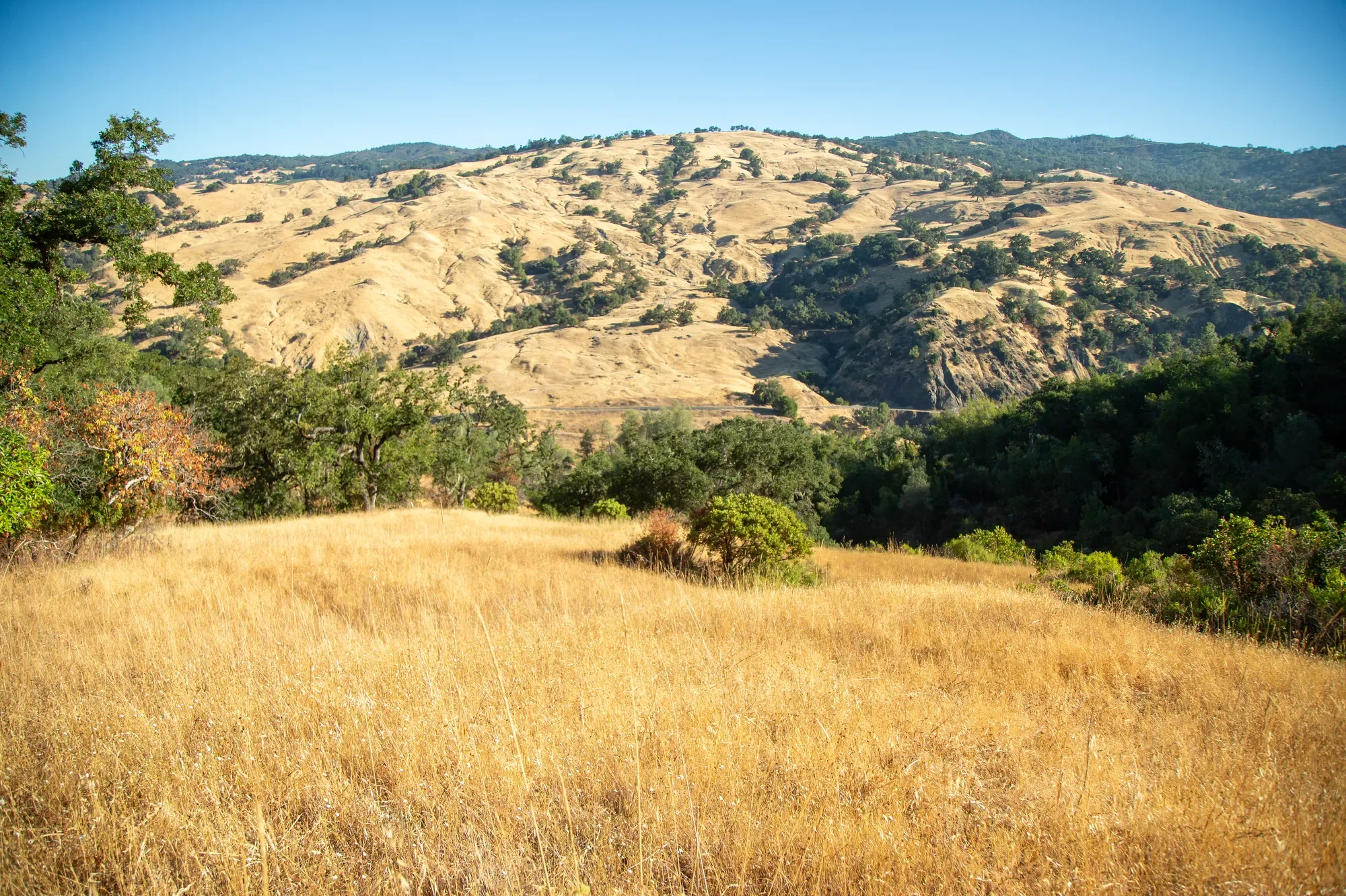 29810 River Road , Cloverdale, CA 95425, Cloverdale, California, United States. - Photo 22