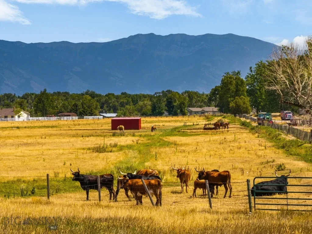 3455 Linney, Bozeman, Montana, United States. - Photo 8