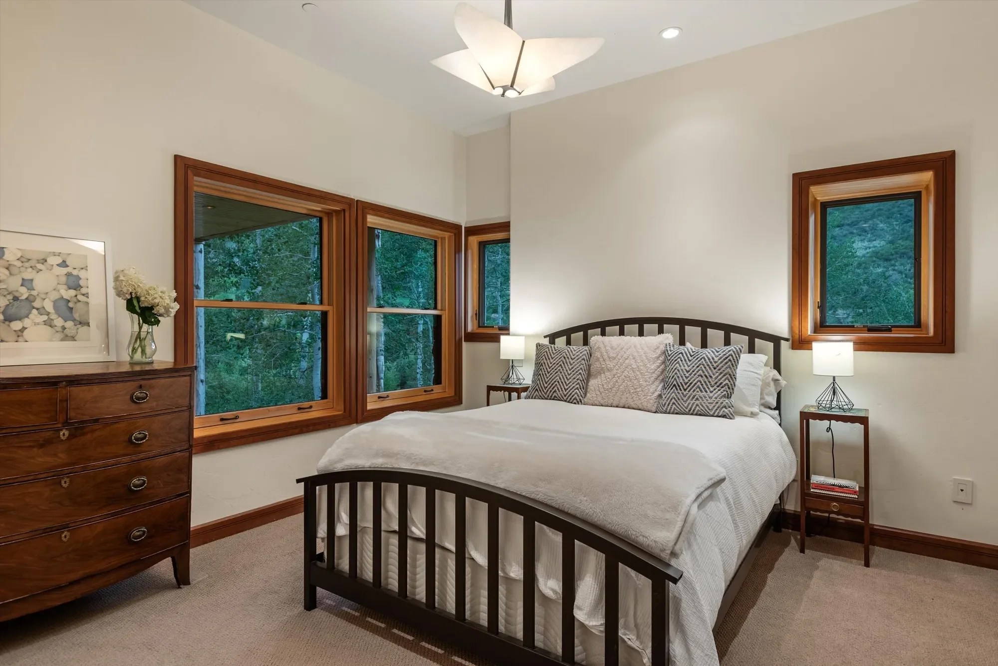 335 Hall Drive , Aspen, CO 81611, Aspen, Colorado, United States. - Photo 24