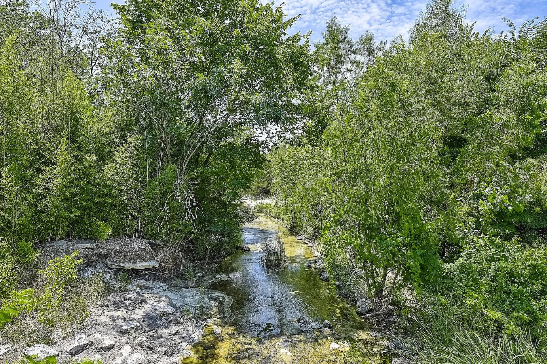 Gallery photo 4
