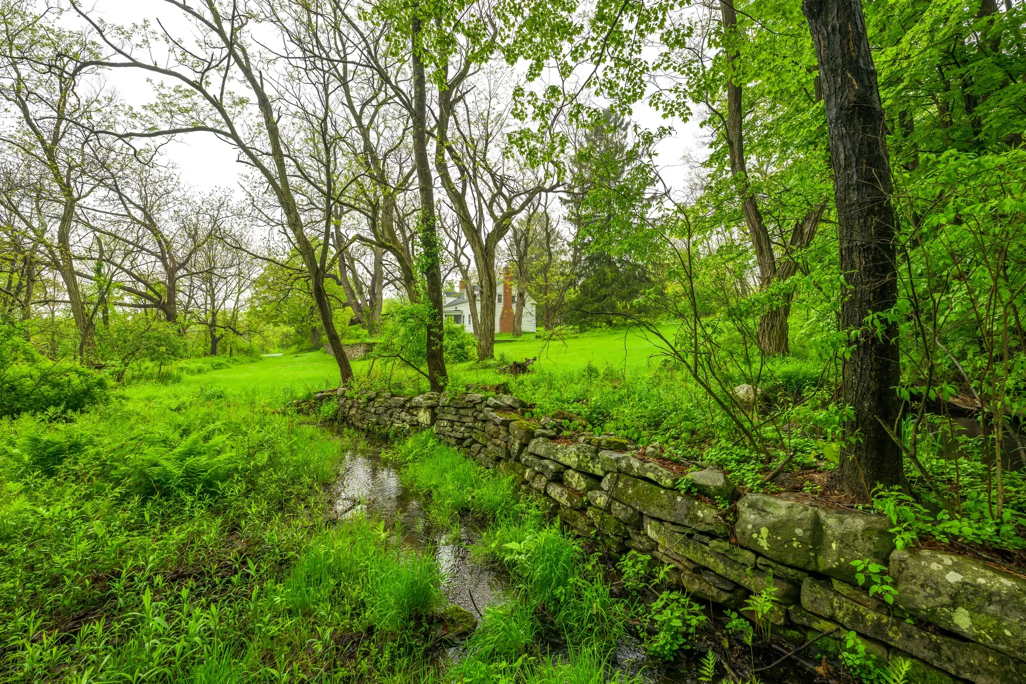 1250 County Route 351 , Rensselaerville, NY 12147, Rensselaerville, New York, United States. - Photo 22