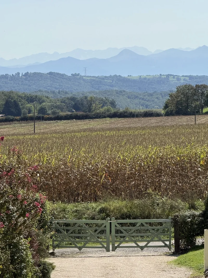 Sadournin, Sadournin, Sadournin, Occitanie, France. - Photo 41
