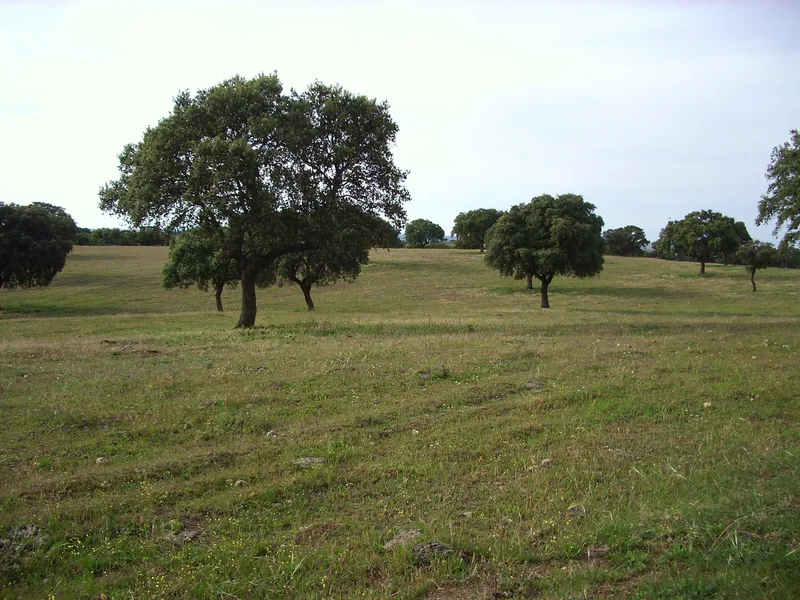Granja rancho en Castilla la Mancha