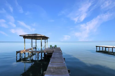 Thumbnail 31