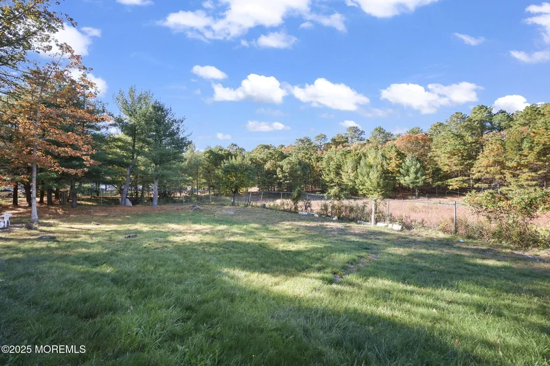 8 Alyssa Rose Lane, Jackson, NJ 08527, Jackson Township, New Jersey, United States. - Photo 53