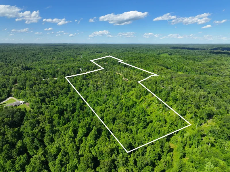 326 Hargis Rd, Dover, TN 37058, Bumpus Mills, Tennessee, United States. - Photo 46