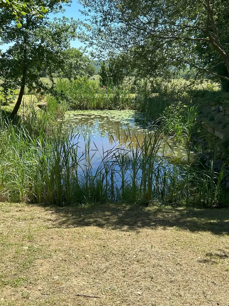 Lourties-Monbrun, Lourties-Monbrun, Lourties-Monbrun, Occitanie, France. - Photo 20