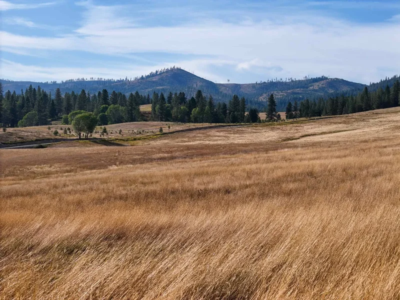 52XX Wagner Rd, Springdale, WA 99173, Springdale, Washington, United States. - Photo 37