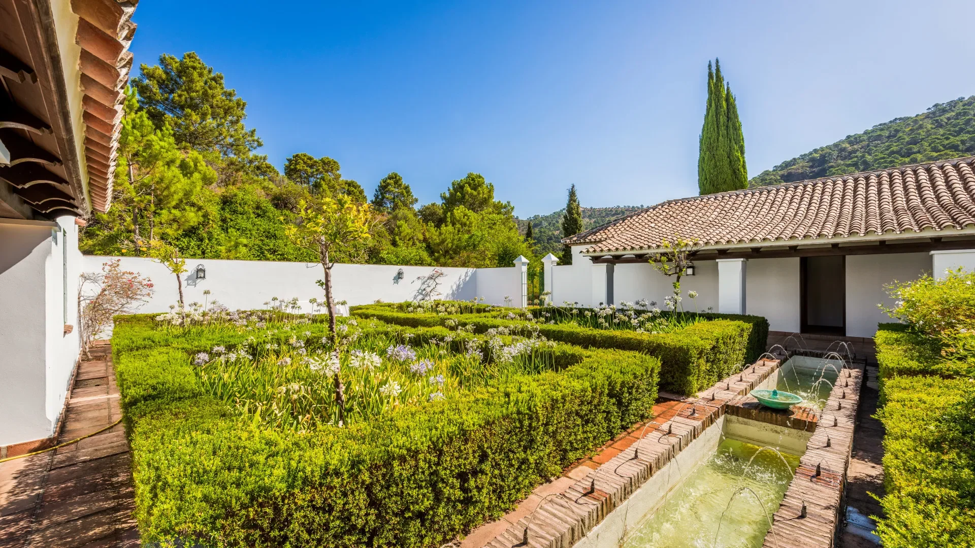 Estepona, Malaga, Estepona, Andalusia, Spain. - Photo 9