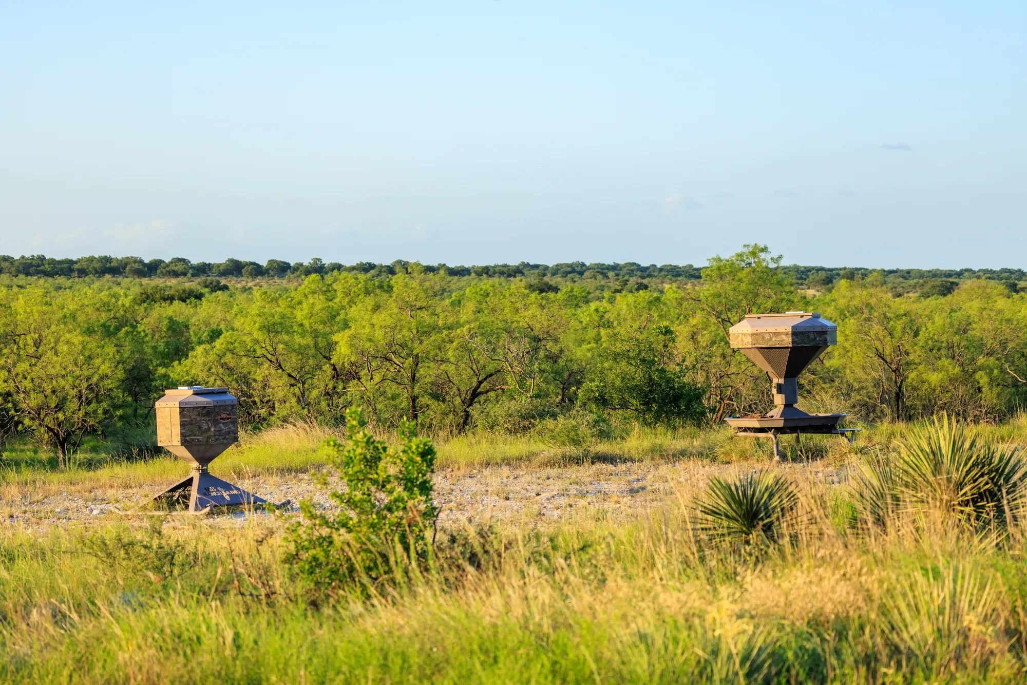 Brady Creek Ranch CR 3388, Melvin, TX 76858, Melvin, Texas, United States. - Photo 52
