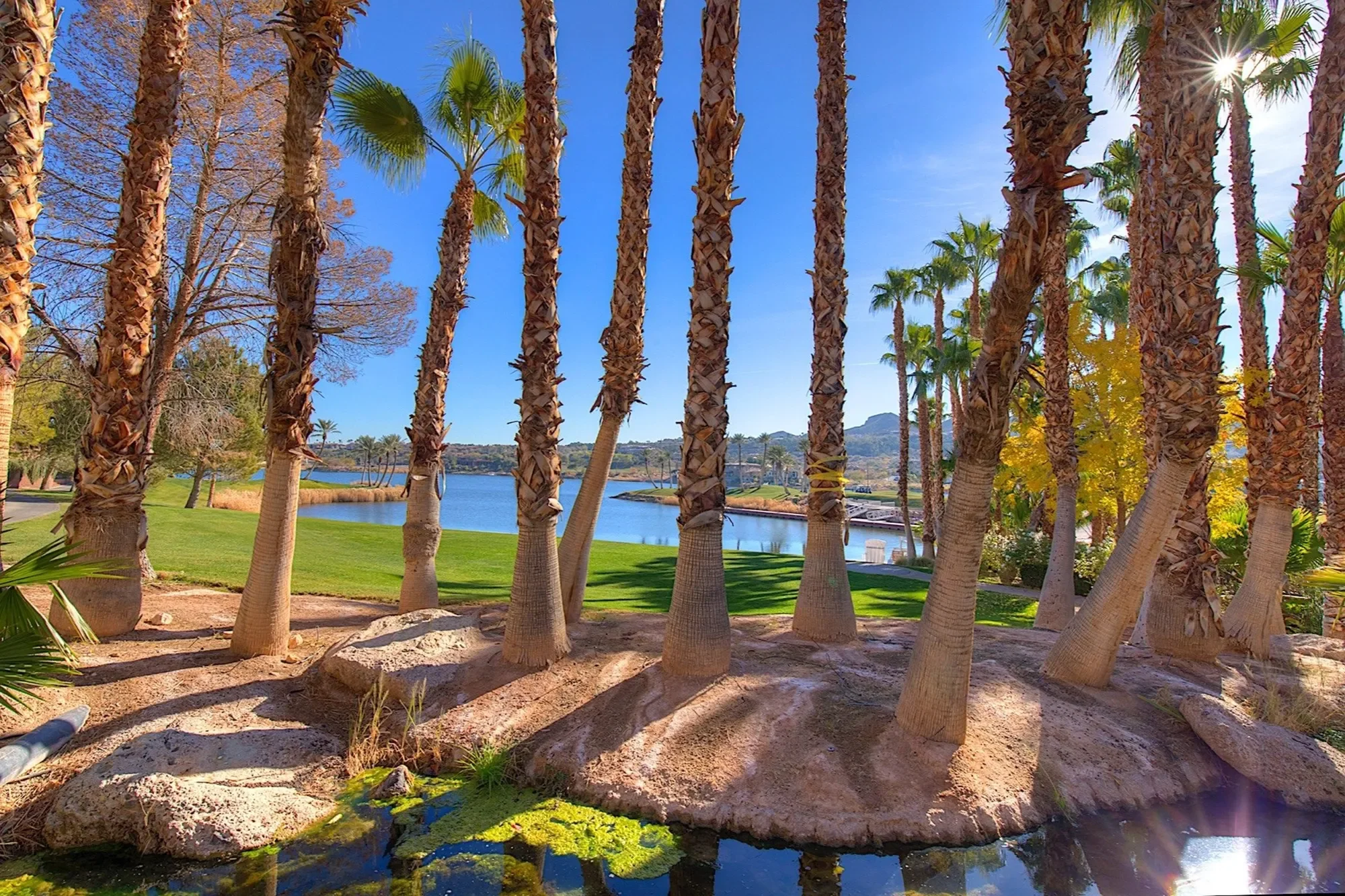 351 Tigullio Avenue, Henderson, NV 899011, Henderson, Nevada, United States. - Photo 46