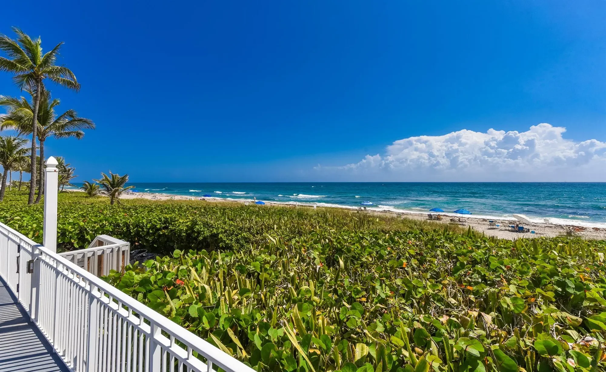 3310 S Ocean Boulevard, Boca Raton, Florida, United States. - Photo 32