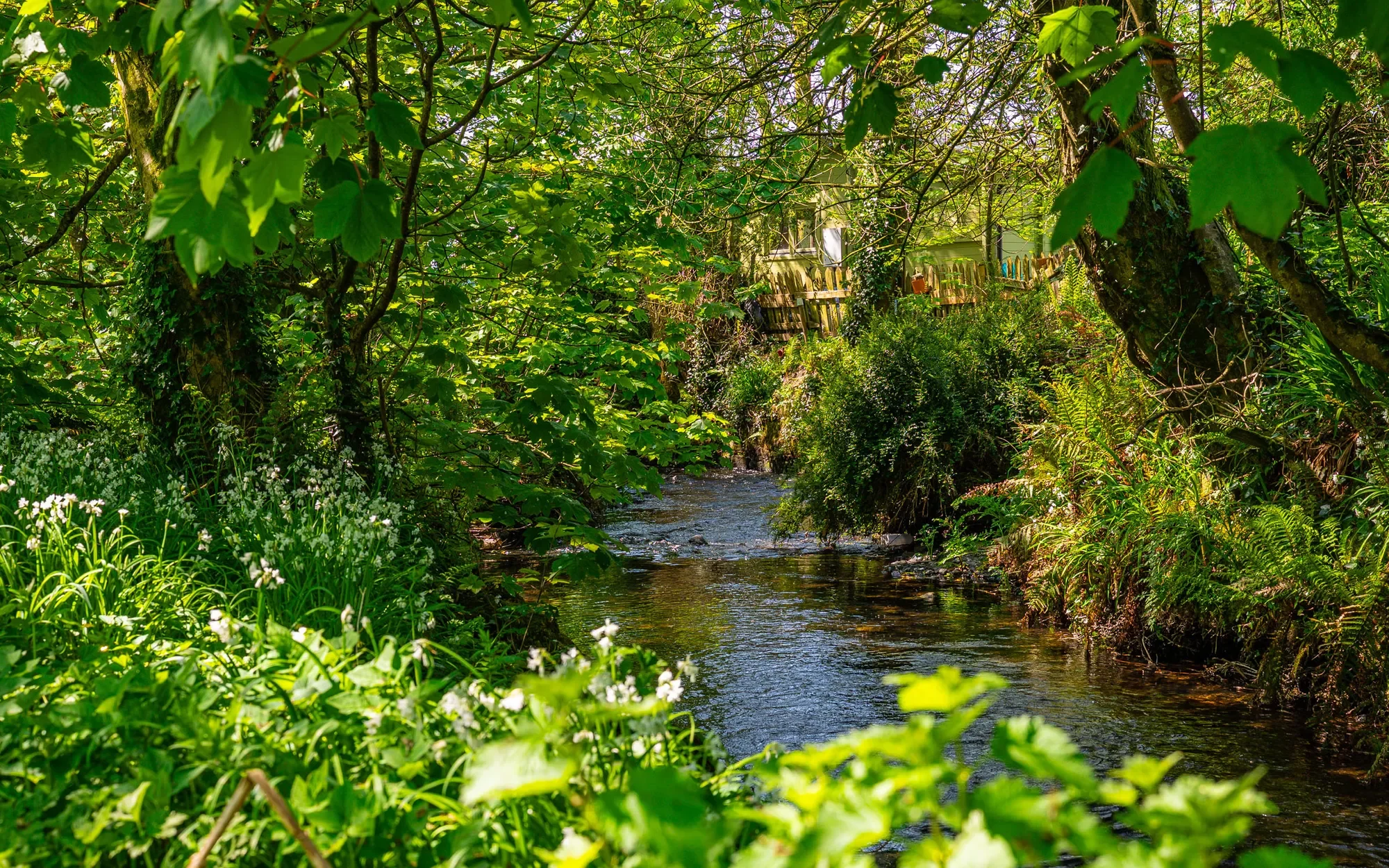 W End, Dromdaleague, Drimoleague, Co. Cork, Ireland, Drimoleague, County Cork, Ireland. - Photo 32