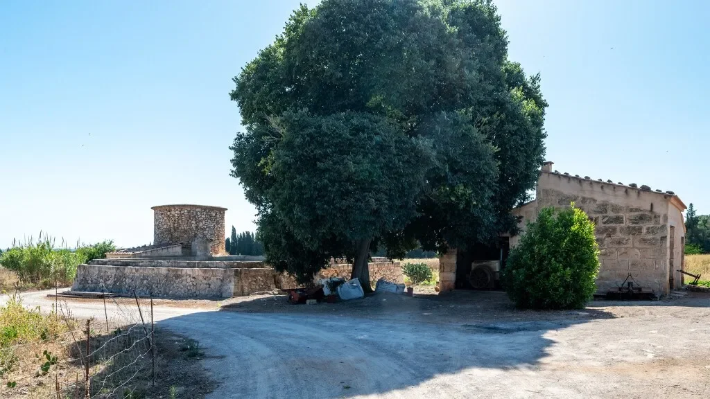 Baleares, Muro, Balearic Islands, Spain. - Photo 15