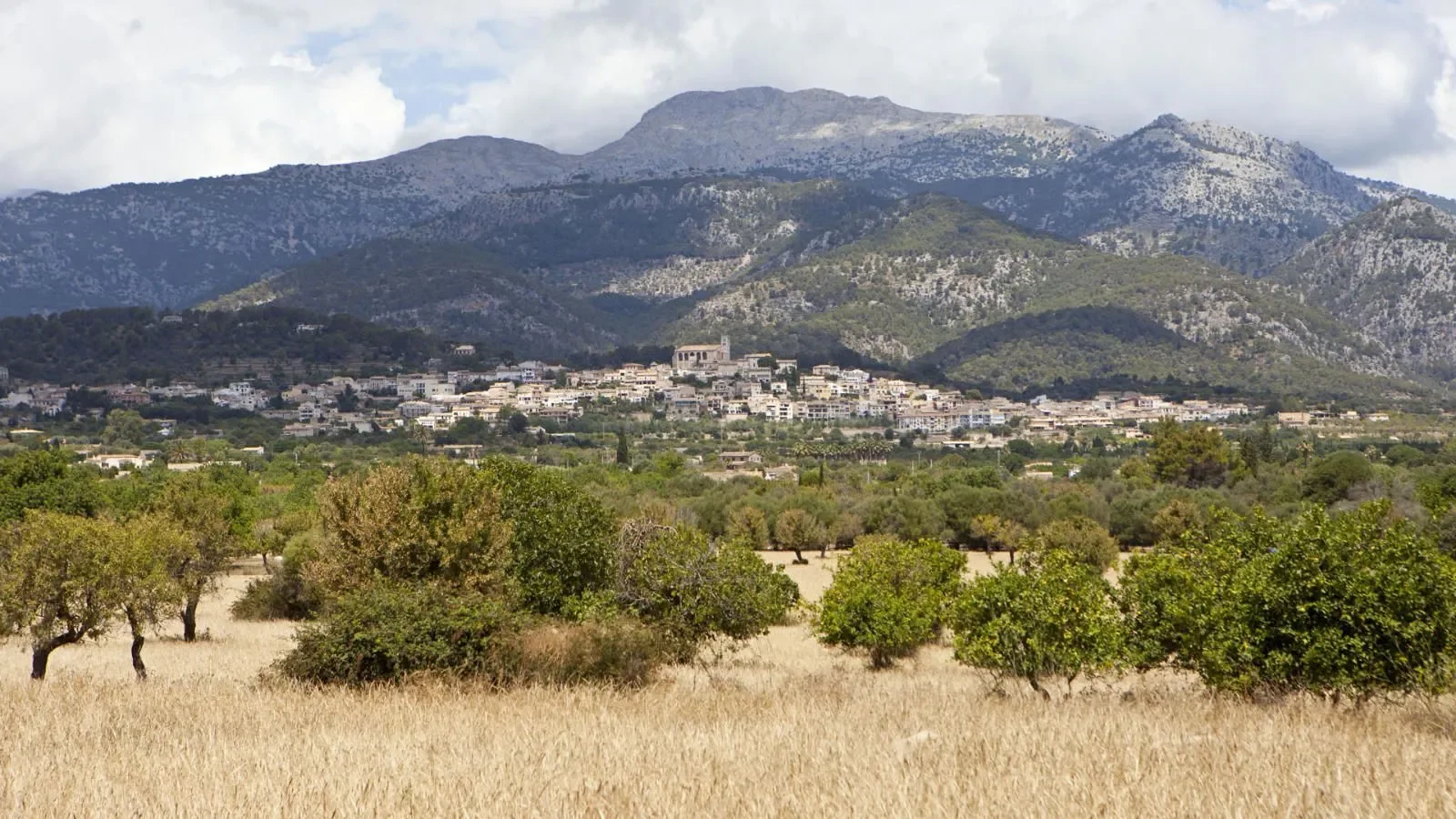 Selva, Baleares, Selva, Selva, Balearic Islands, Spain. - Photo 6