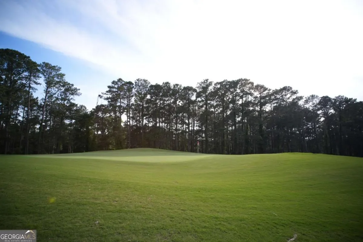 Monticello, Georgia, United States. - Photo 42